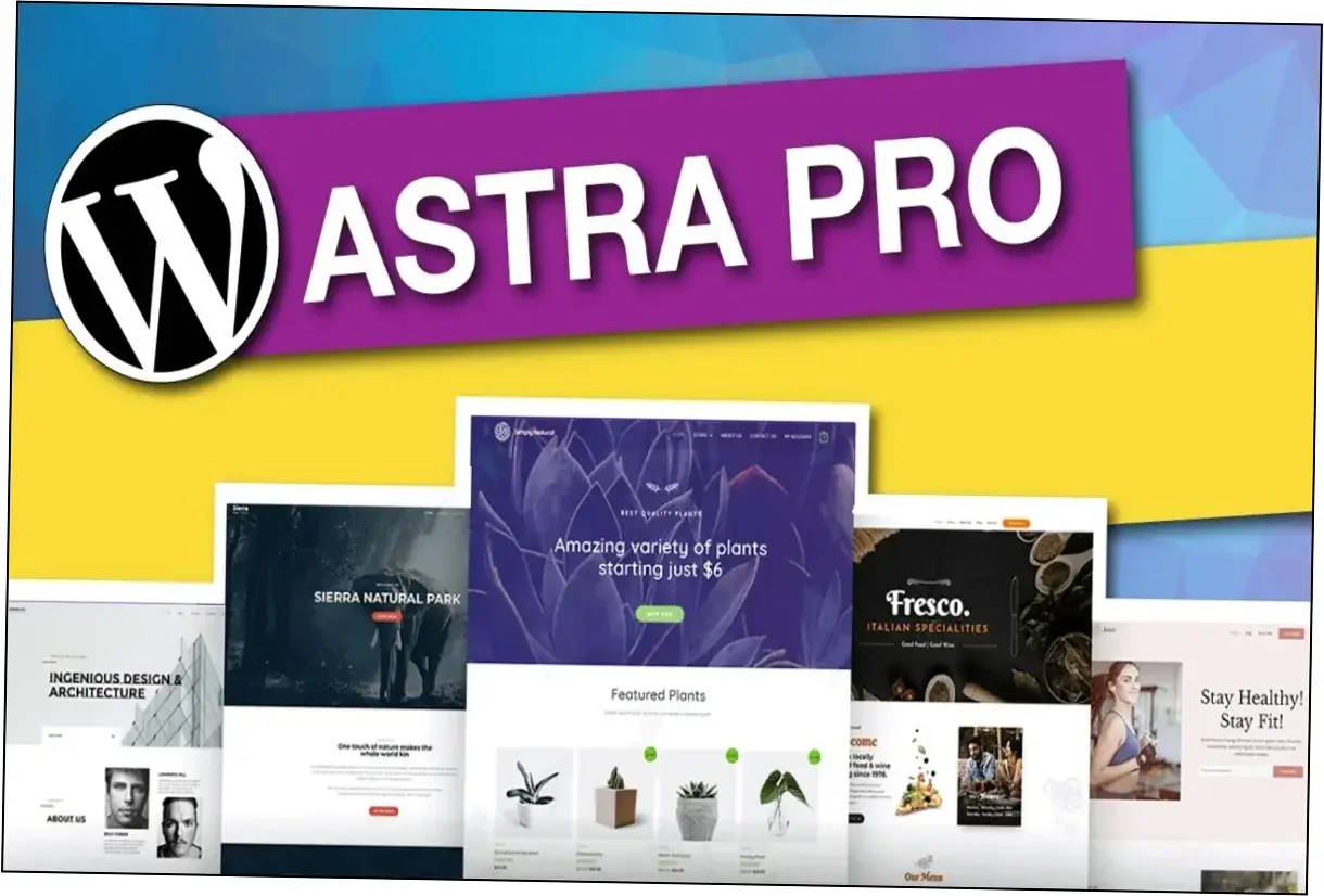 Astra Pro Theme Nulled Download Preview