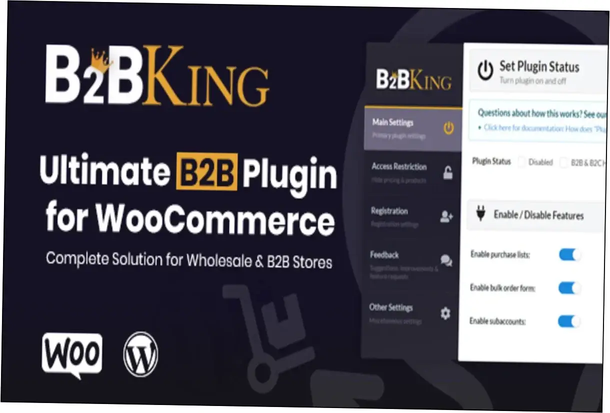 Preview of B2BKing
