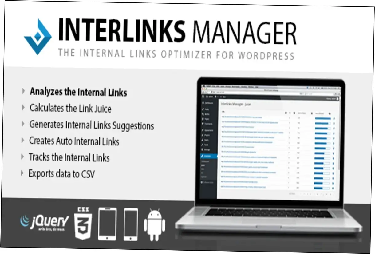 Preview of Interlinks Manager
