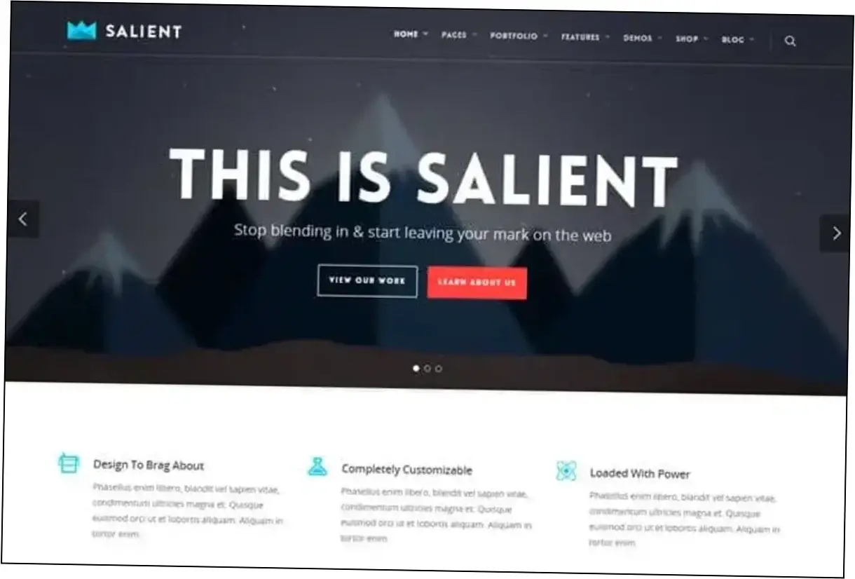 Preview of Salient Theme