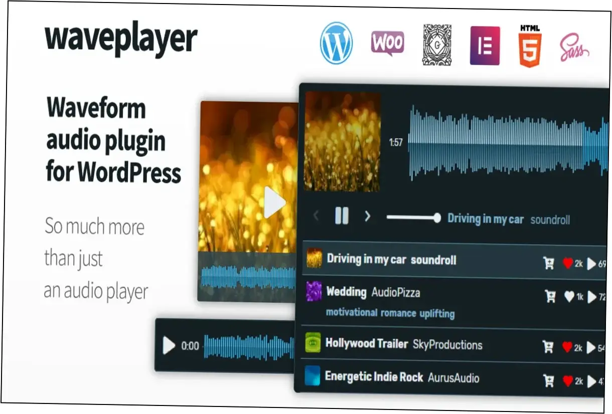 WavePlayer Nulled Download